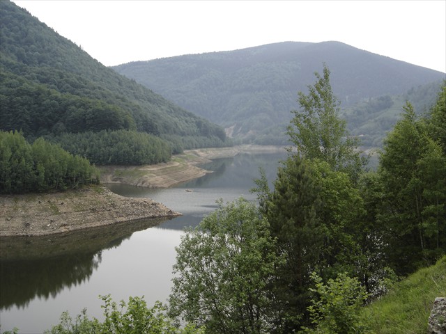 DSC00203