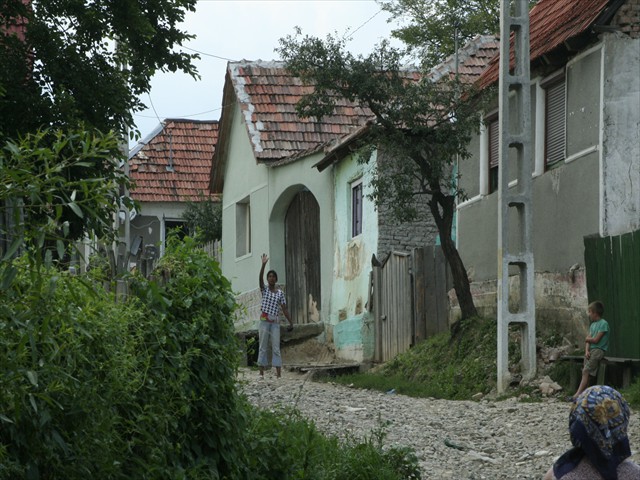 roman (465)