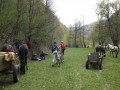 DSC00631