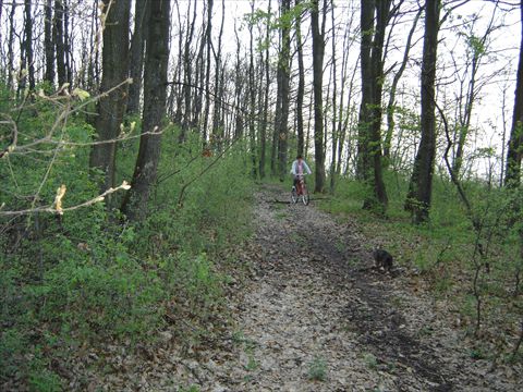 DSC00151