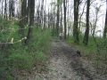 DSC00151