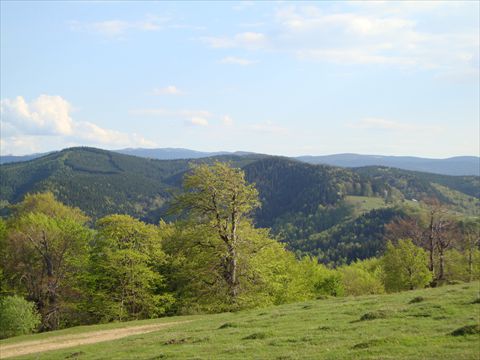 DSC00092