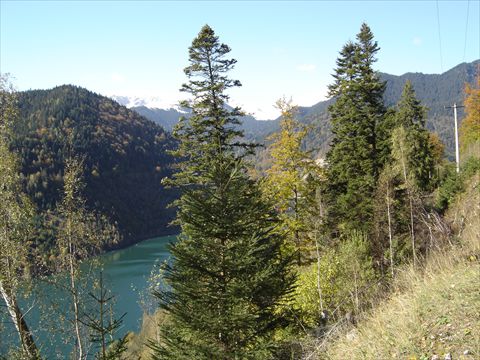 DSC00506