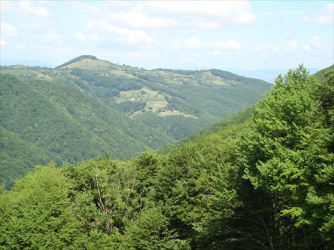 DSC02688