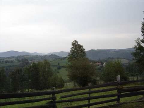 DSC01707