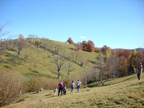 DSC03949